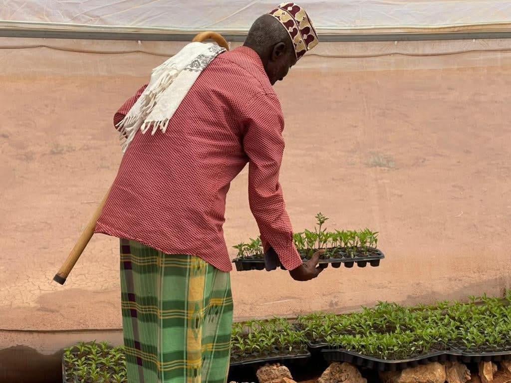 Farming Image 3