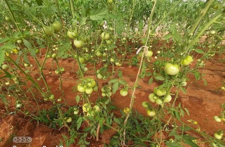 Farming Image 9